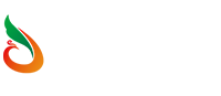 智风云